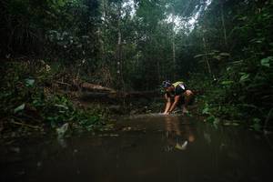 BIB: 
                            <button type="button" onclick="openModal(22479969)" class="btn btn-primary btn-sm float-right btn-popup" data-toggle="modal" data-target=".modal-high-quality">
                        <i class="fas fa-shopping-cart"></i> Add to Cart
                    </button>
                                            <button type="button" onclick="isThisMe(22479969, true)" class="btn btn-success btn-sm float-right btn-popup btn-isme hidden" data-toggle="tooltip" data-placement="bottom" title="นี่คือรูปของคุณใช่ไหม คลิกที่นี่เพื่อเอาเข้าอัลบั้ม">
                        <i class="fas fa-plus"></i> Add to album
                    </button>
                    <button type="button" onclick="isThisMe(22479969, false)" class="btn btn-warning btn-sm float-right btn-popup btn-isnotme hidden">
                        <i class="fas fa-ban"></i> Remove from album
                    </button>